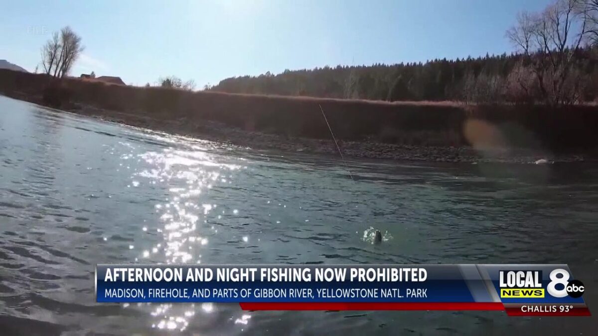 Warm waters force afternoon fishing closures in parts of Yellowstone National Park