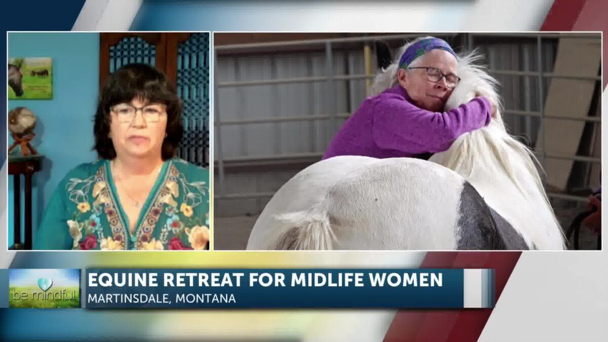 Surviving the ‘Mid-Life Collision’ through Equine Therapy