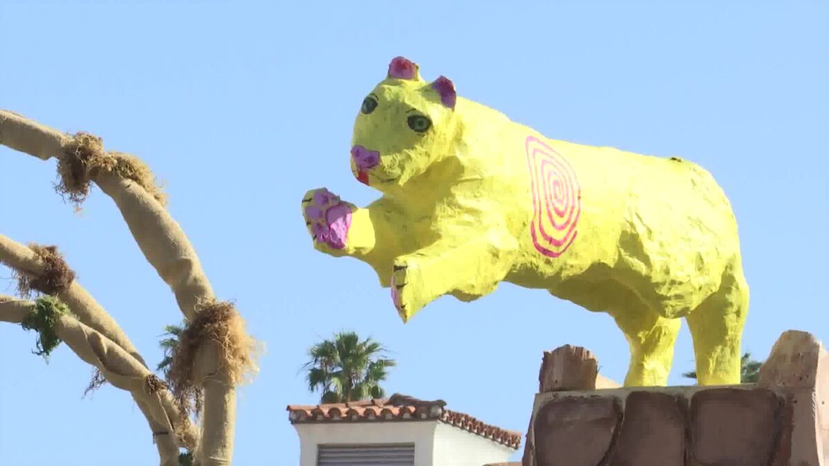 Final preparations under way for the 51st annual Summer Solstice parade