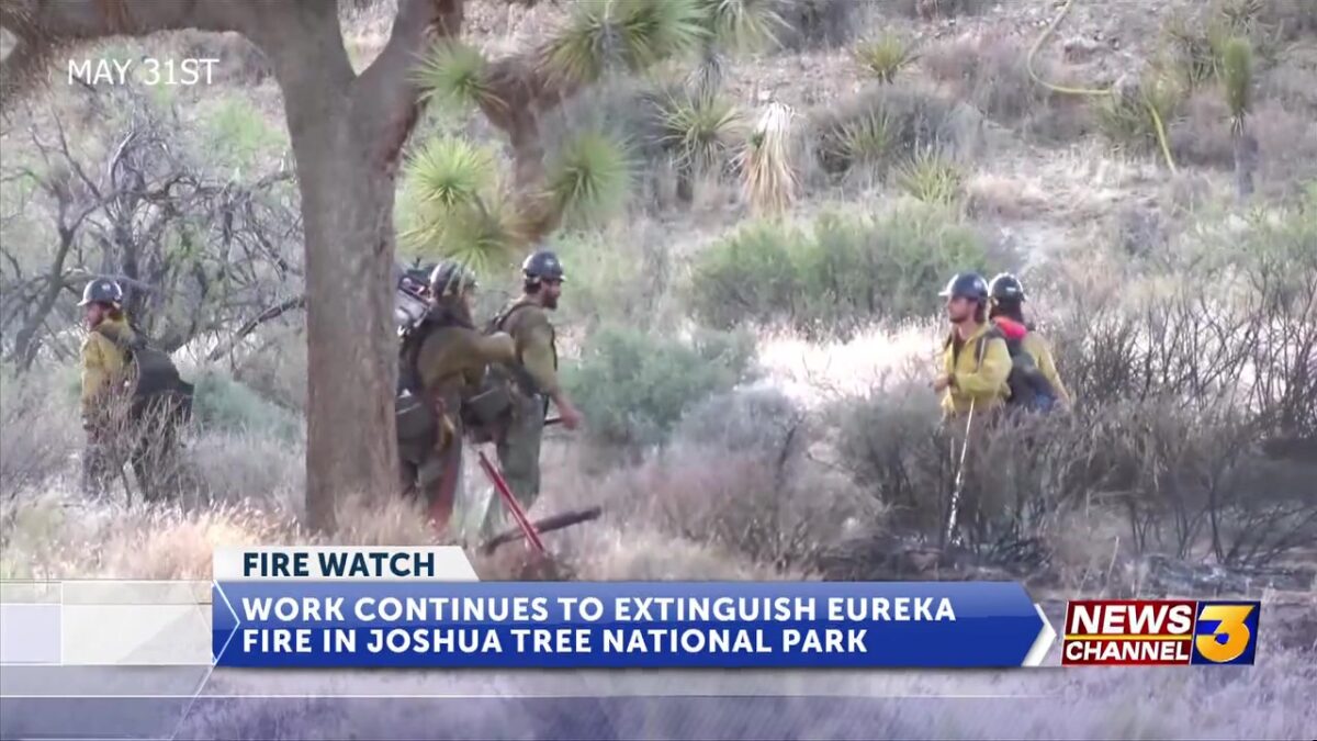 Joshua Tree National Park Eureka Fire at 214 acres with 80% containment; temporary Park closures remain