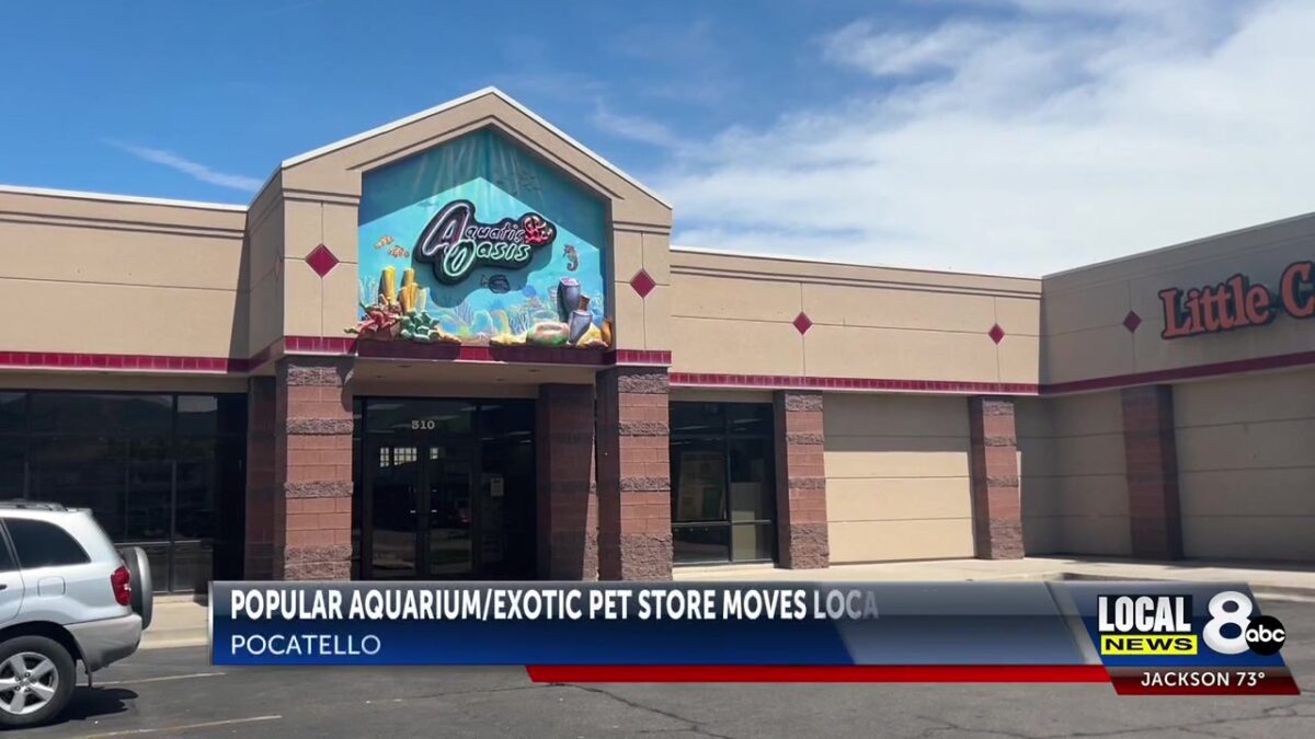 Pocatello aquarium and exotic pet store opens doors to new location