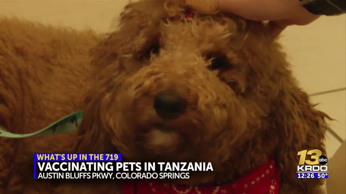 Local veterinarian traveling to Africa to help save lives from rabies