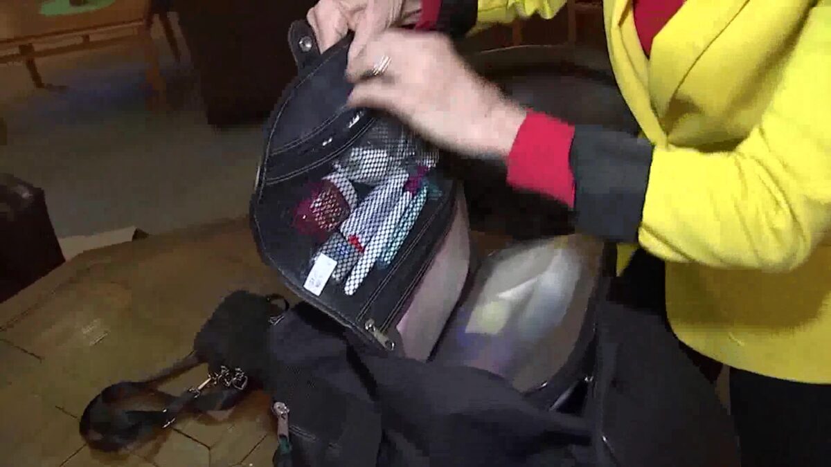 ‘We Just Had to Get Out’: LA Wildfire Survivors Stress Emergency Planning