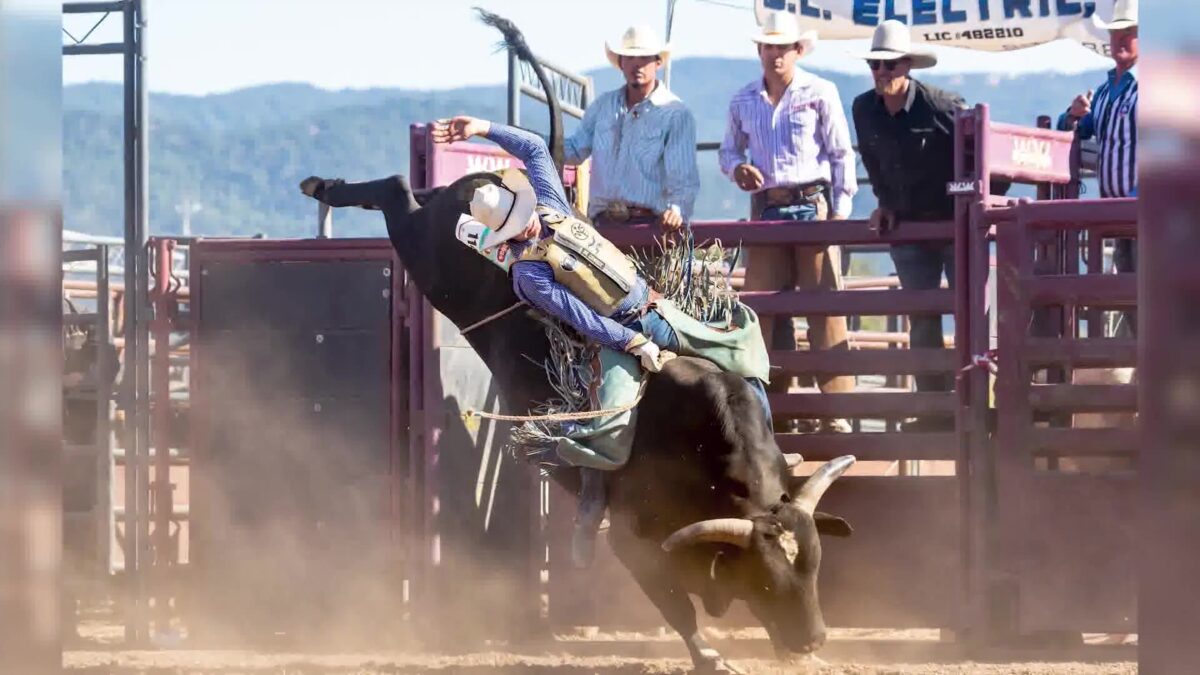 Old Santa Ynez Days Rodeo Kicks Up Heels for Long-Standing Traditions in the Valley