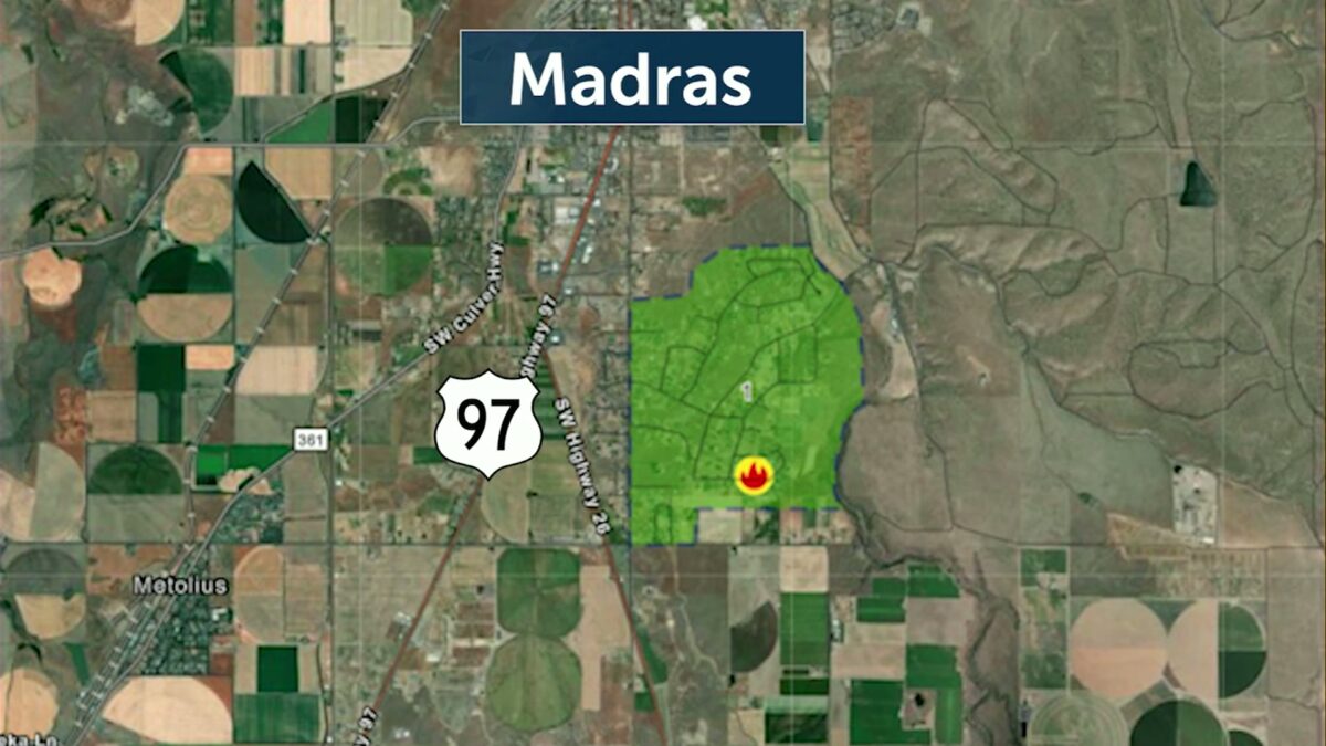 Two small brushfires tackled in SE Madras