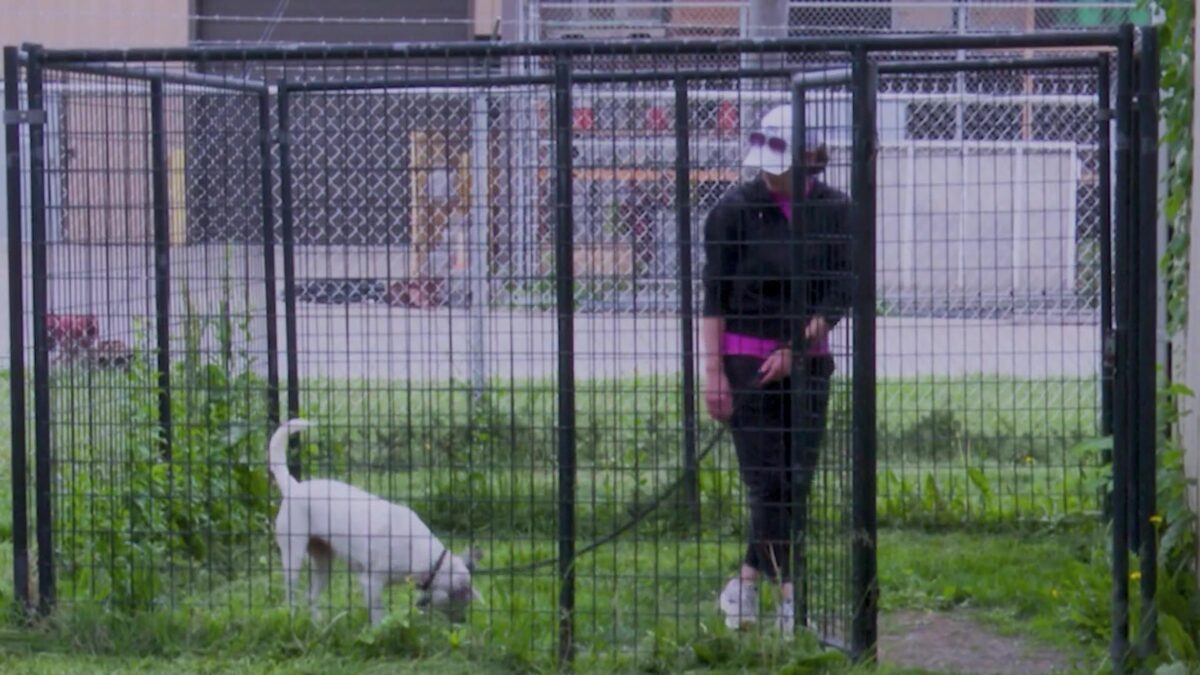 Groundbreaking for St. Joseph Animal Shelter to get underway