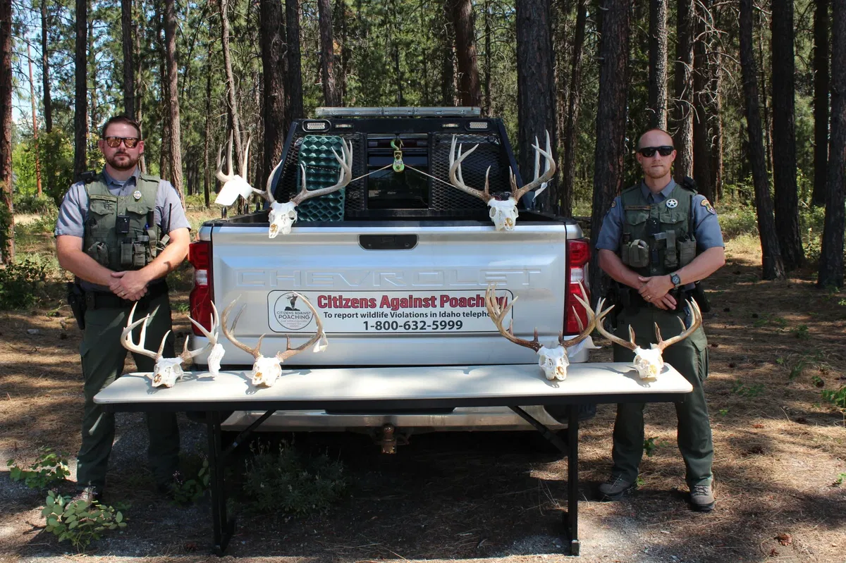 Two men facing charges for illegally killing seven white-tailed deer in North Idaho