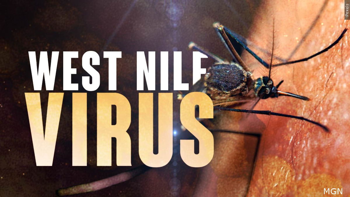 West Nile Virus infected mosquitoes found in Bingham County
