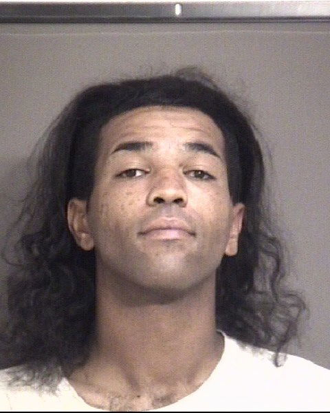 Man accused of stealing from 20 cars in Columbia