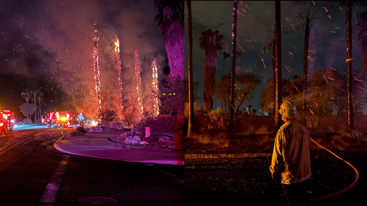 Palm trees burst out in flames in Palm Desert Thursday night