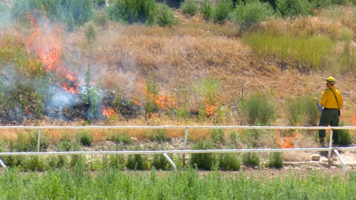 North Bannock Fire District conducting controlled burn at Portneuf Wellness Complex Tuesday