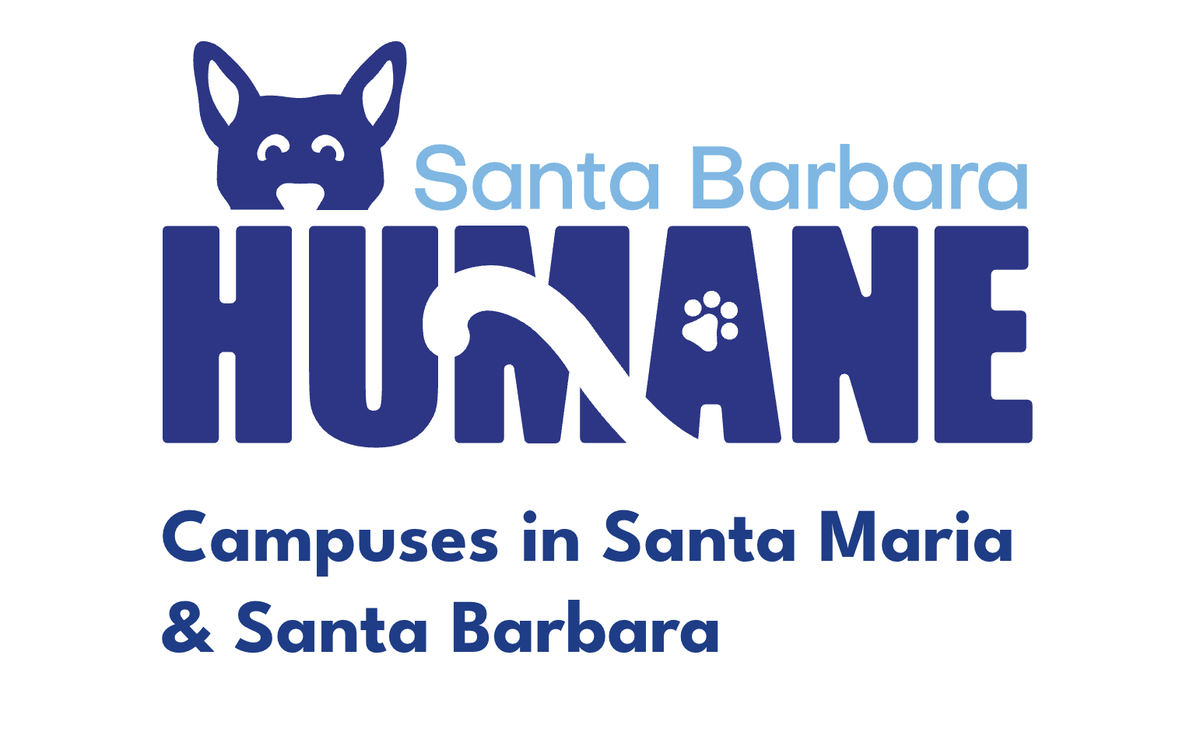 The Morning News gets Jazzie with SB Humane