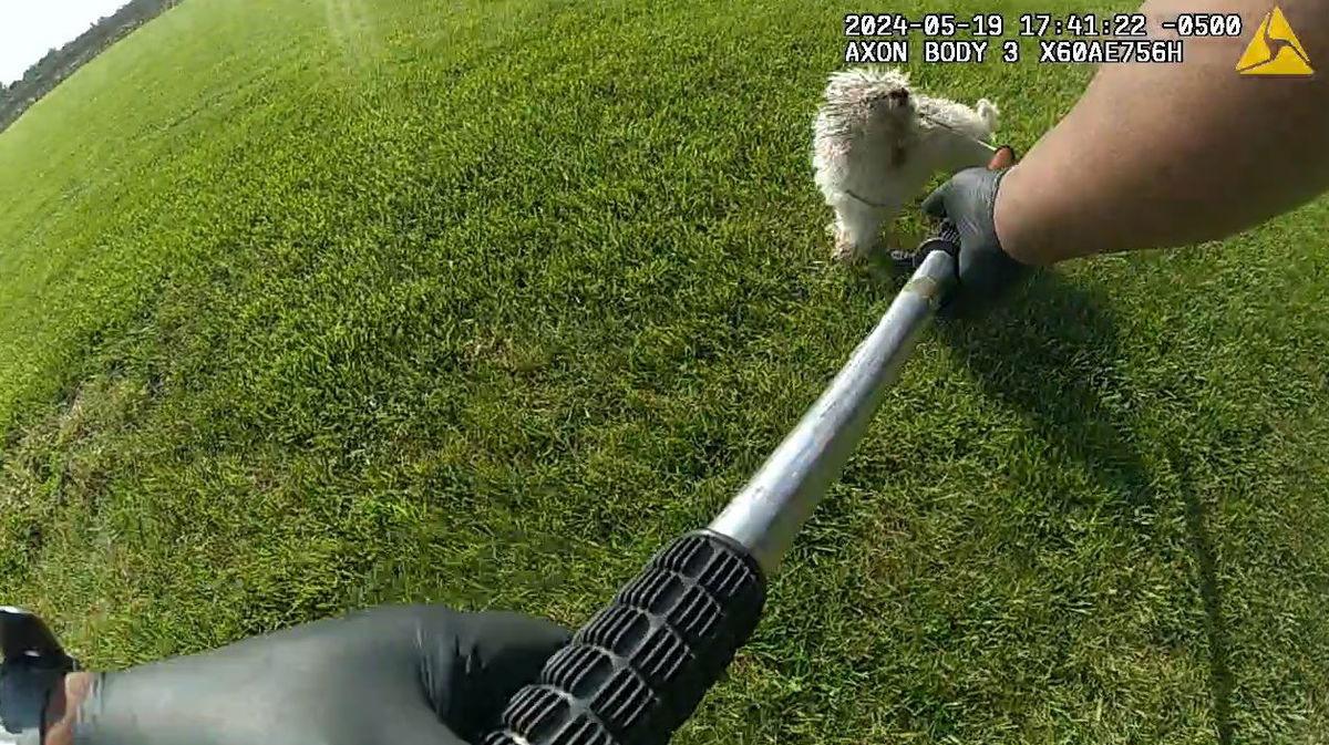Sturgeon lawyer says settlement talks ‘productive’ in dog shooting lawsuit