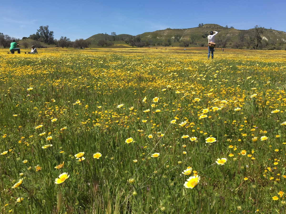 Photo Contest Invites Californians to Capture and Share the Beauty of State Parks