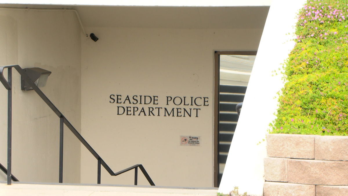 Seaside Police in search of potential burglary suspect