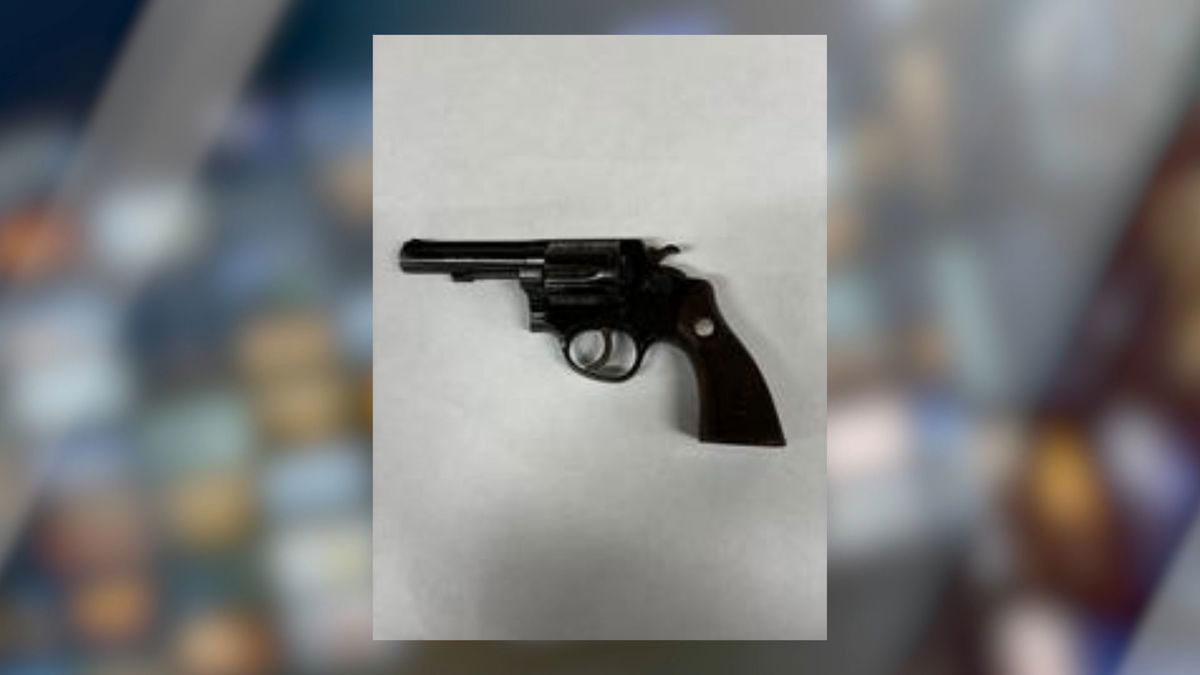 Santa Maria Juvenile Arrested on Weapon-Related Charges Tuesday