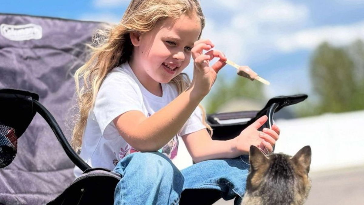 Salt Lake City business starts GoFundMe for Cooper family after fatal Island Park crash
