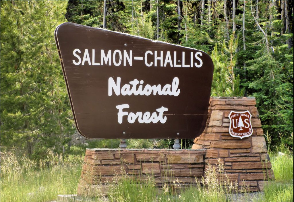 Lightning-caused Double Springs fire being suppressed in Salmon-Challis National Forest