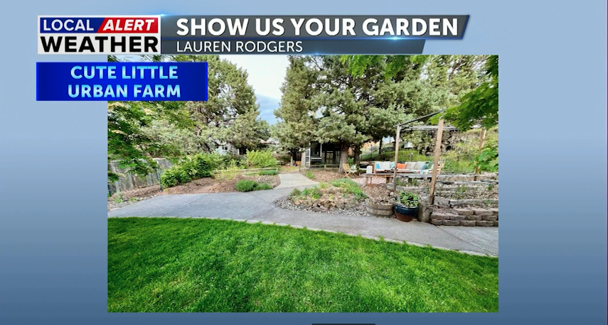 Show Us Your Garden:  This week we have Gnomes and Cowboys along with bumble bees