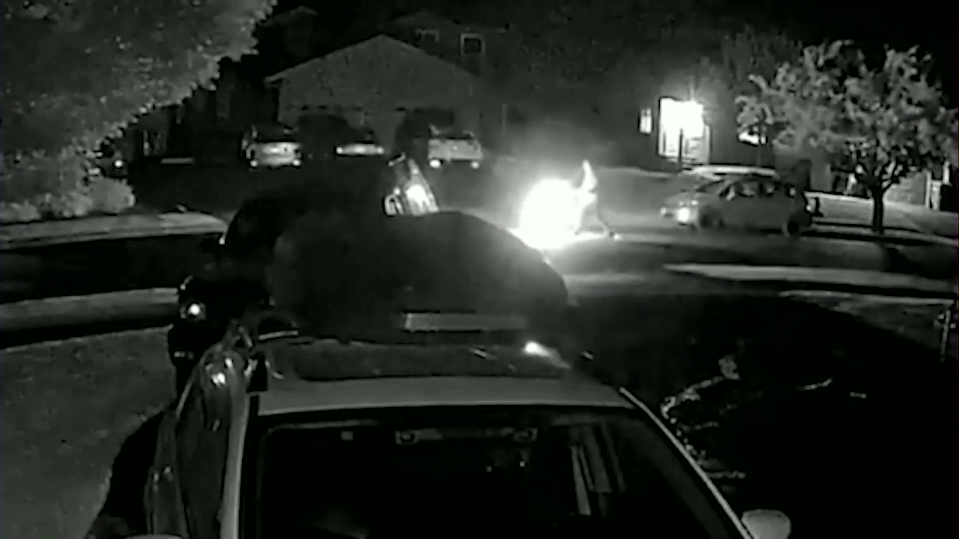 ‘Worry and fear’: Bend resident asks for public’s help after her car is destroyed in suspected arson