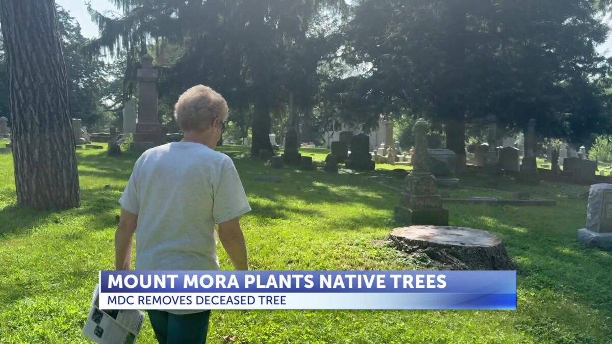 Historic cemetery