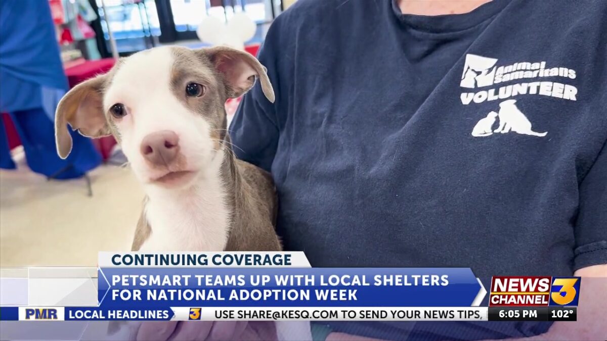 PetSmart in Palm Desert teams up with local shelters to host National Adoption Week events