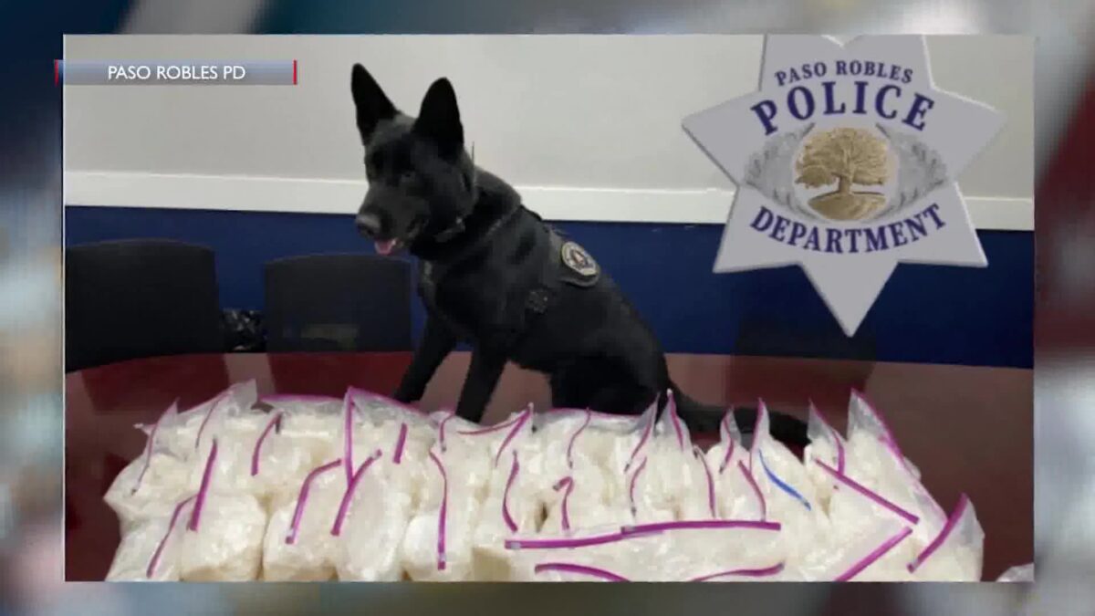 Narcotics arrest in Paso Robles