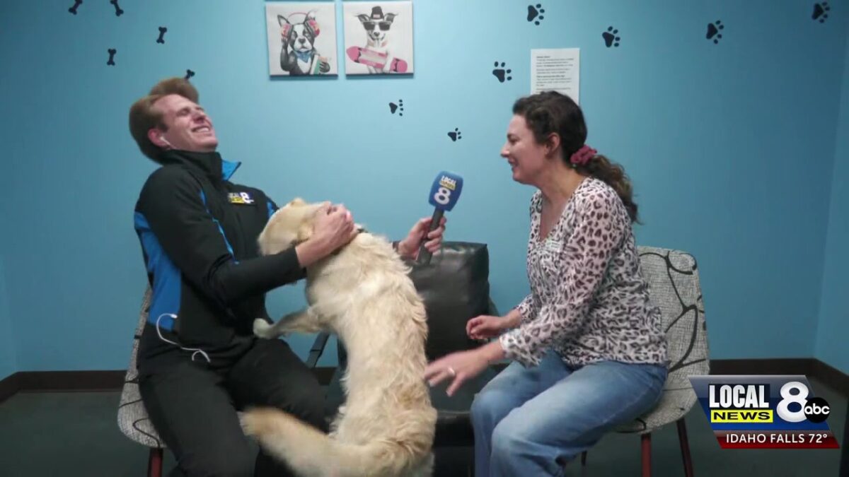 Animal shelter asks people to celebrate 4th of July by being a cuddle buddy