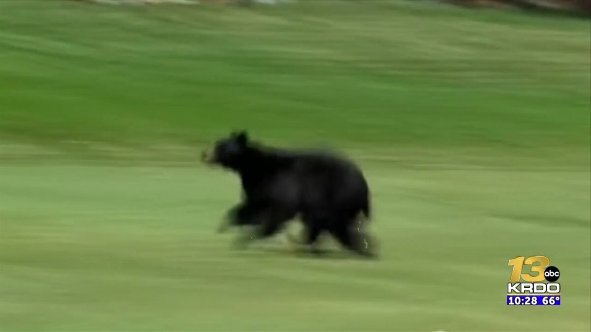 Fond memories of previous U.S. Senior Open’s played at the Broadmoor