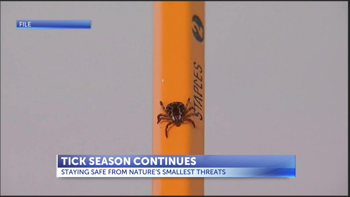 Tick season is in full swing