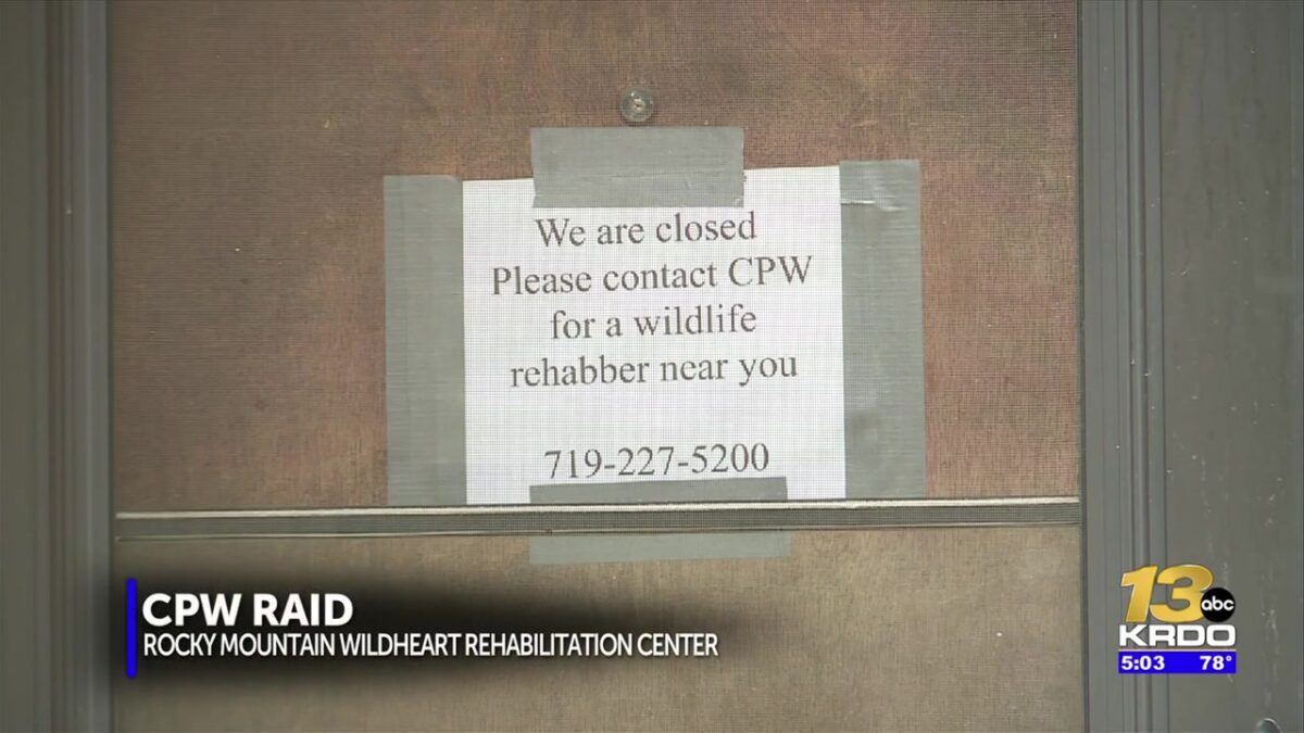 KRDO13 obtains documents from CPW raid on local animal rehabilitaiton center