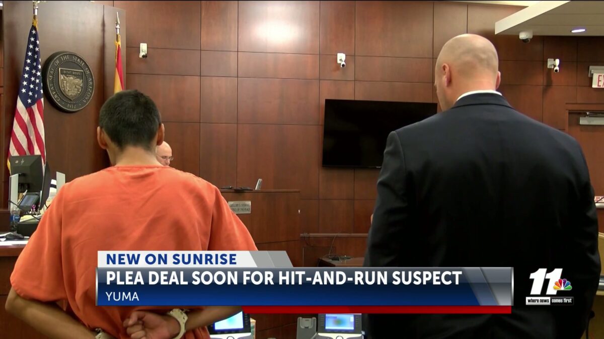 Bicycle hit-and-run suspect to receive plea deal