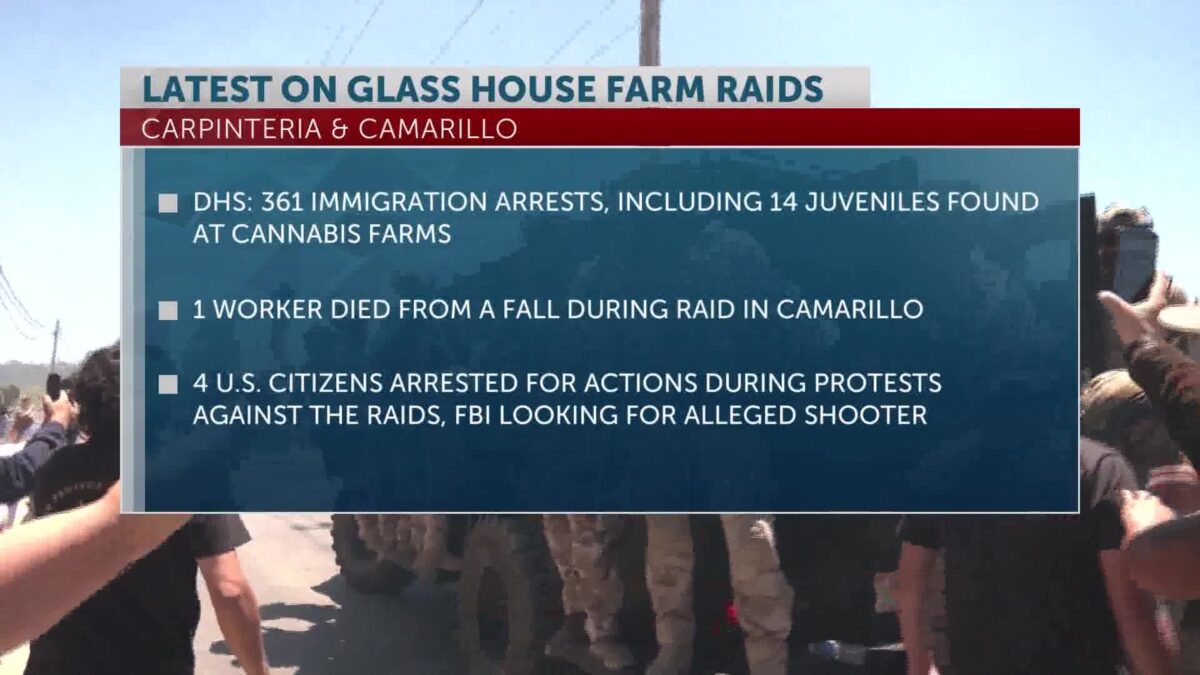 DHS confirms 361 people detained in Carpinteria and Camarillo raids at Glass House Farms