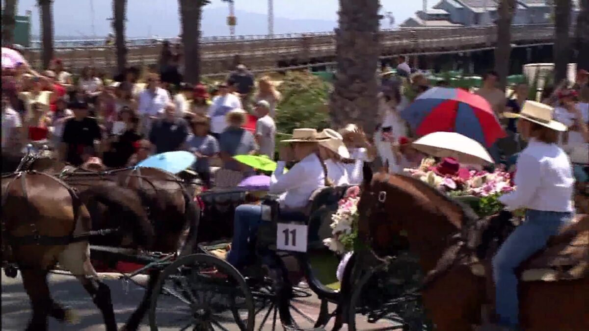 With Two weeks To Go – Old Spanish Days Leaders are Prepping for Santa Barbara’s Biggest Event