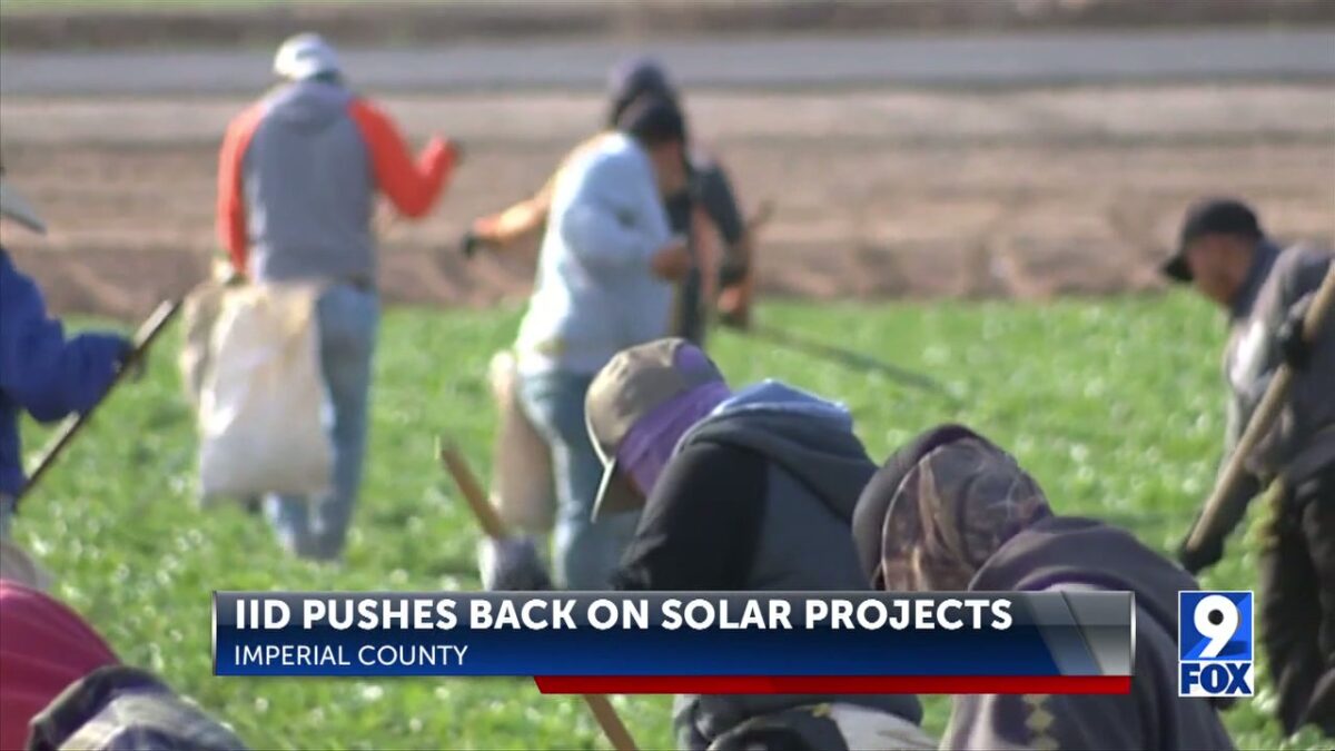 IID pushes to protect farmland from solar projects