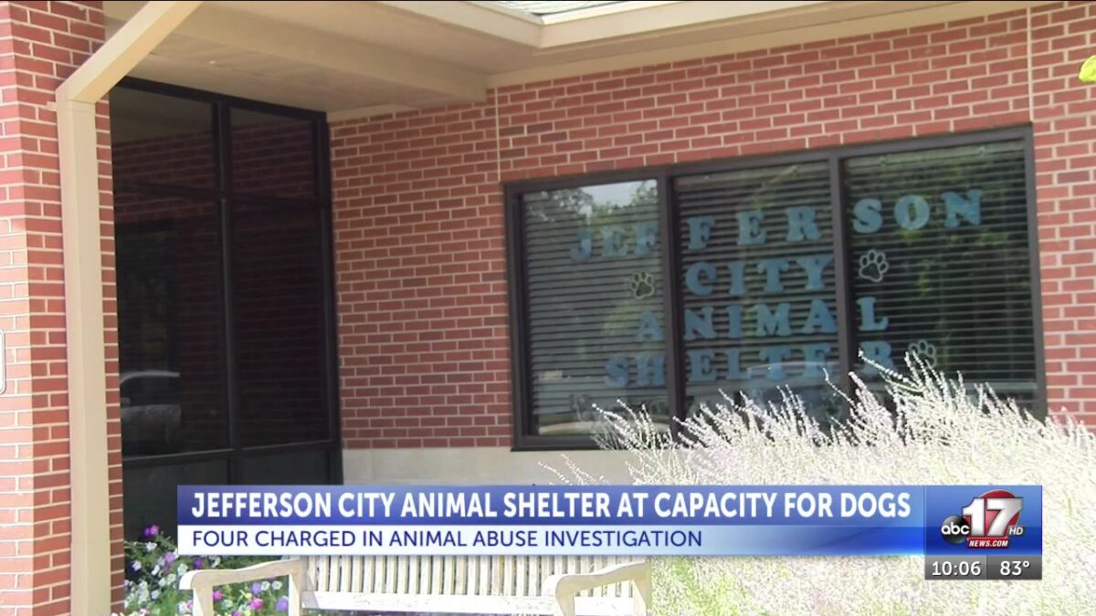 Jefferson City Animal Shelter at capacity after local animal abuse investigation