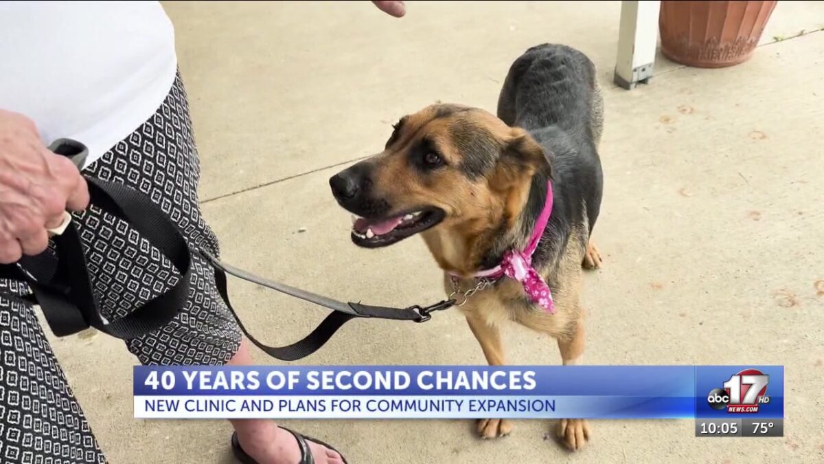 Second Chance expands to better serve animals and the community