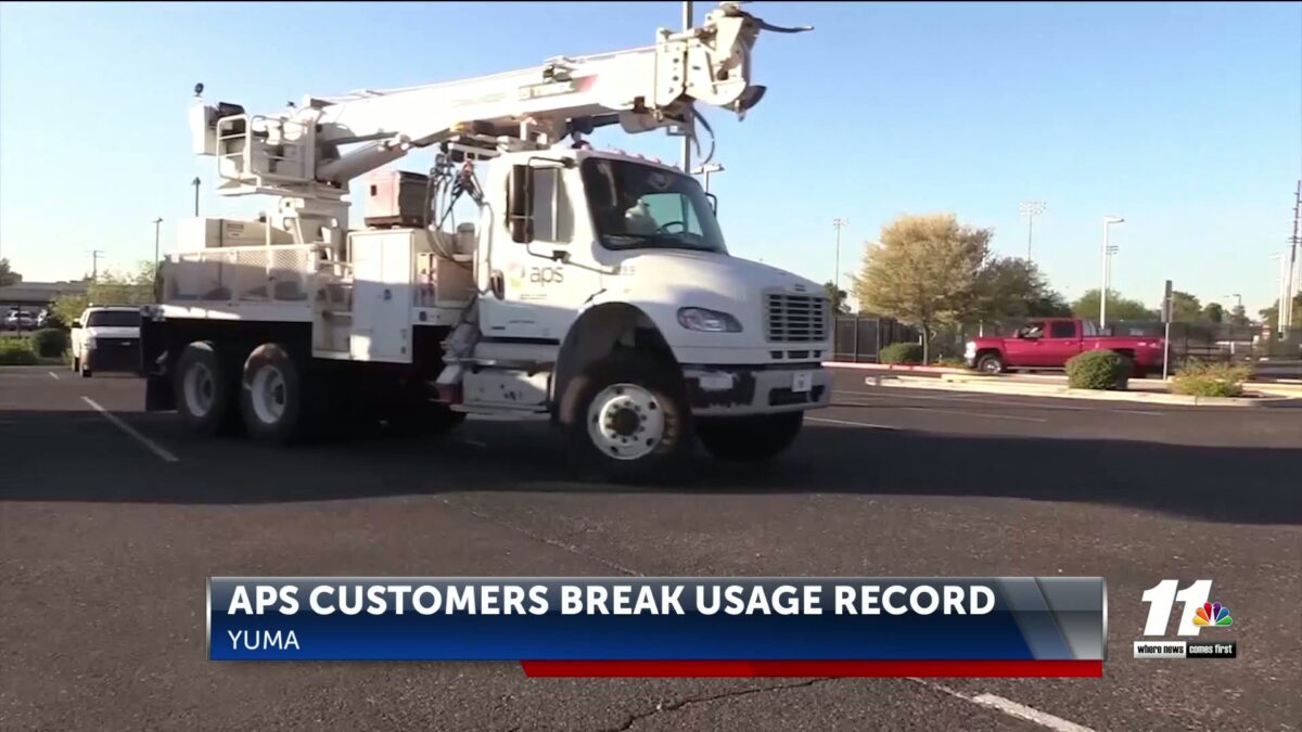 APS customers break usage record