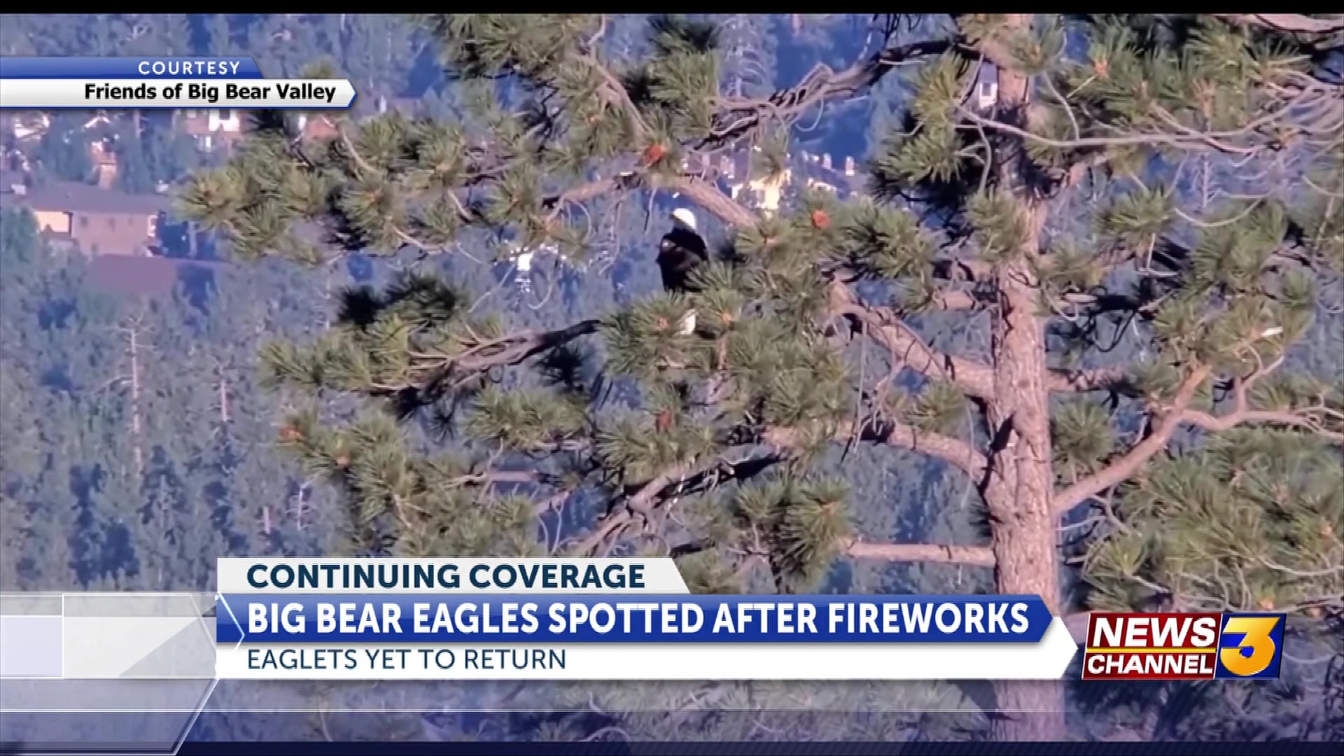 UPDATE: Big Bear Bald eagles return after July 4th fireworks show