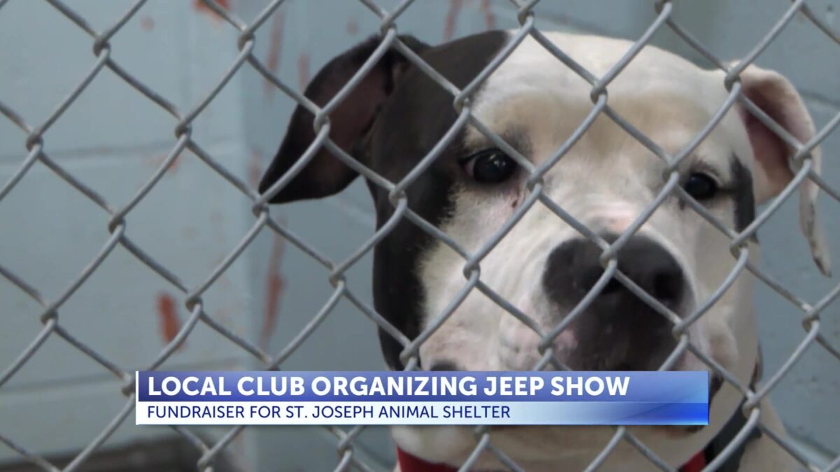 Jeeps for a cause: Local club hosts show to support Animal Shelter and encourage community fun  