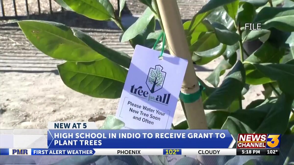 High school in Indio to receive grant to plant trees
