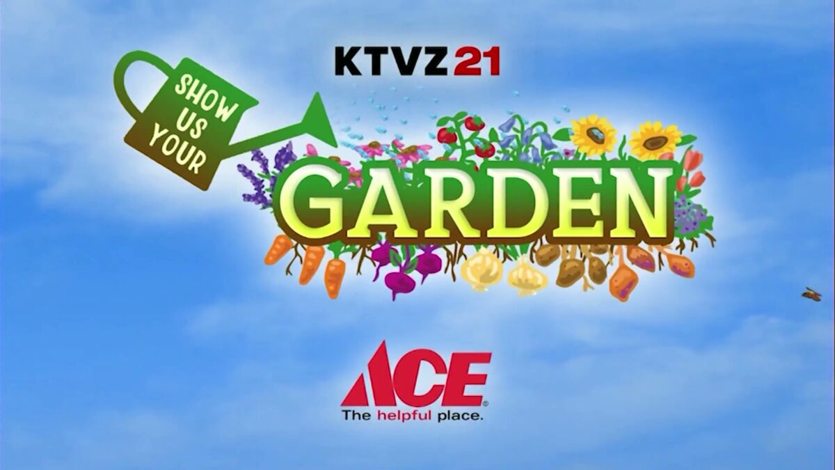 Show Us Your Garden: La Pine flowers