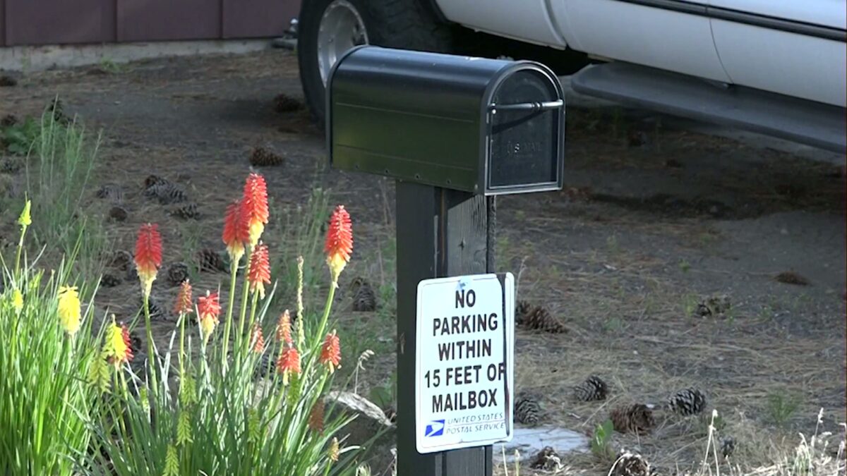 Problem Solvers: Missed mail