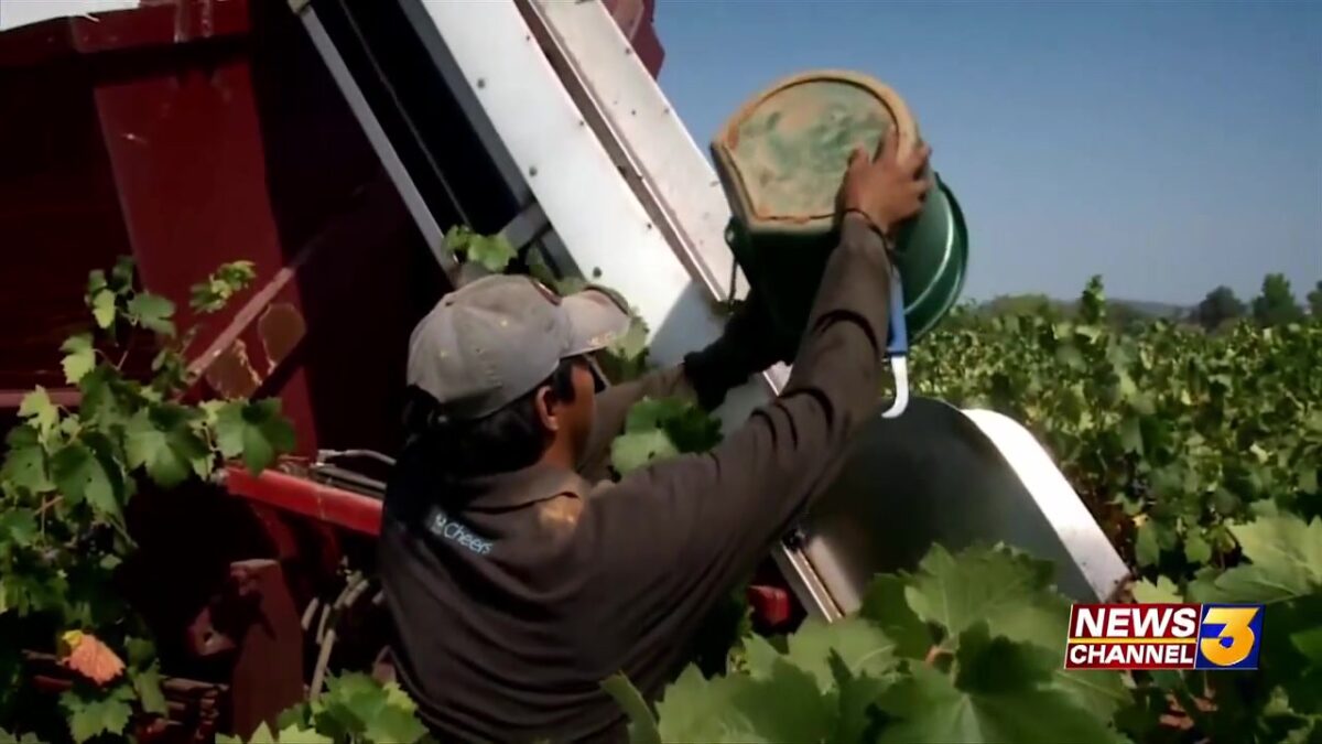 Farmworkers plan strike in protest of immigration raids