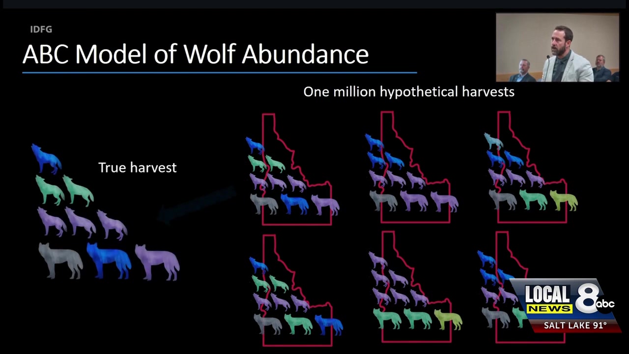 Idaho Fish and Game finds new ways to estimate wolf population