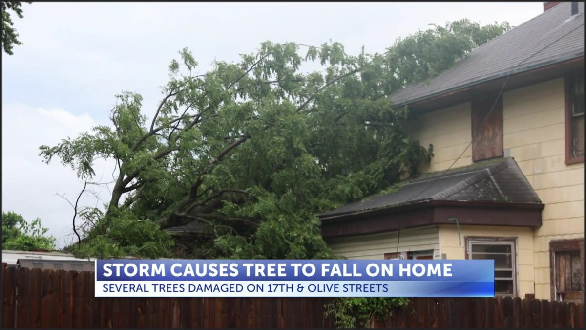 Tree falls on two homes during storm