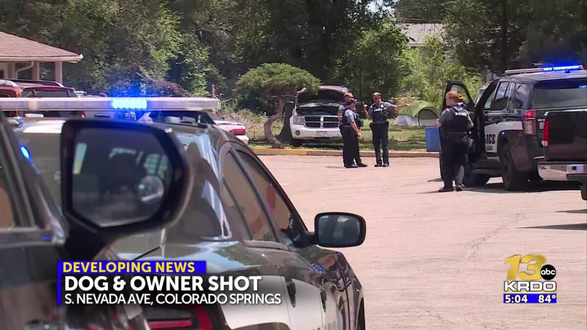 Man shoots dog