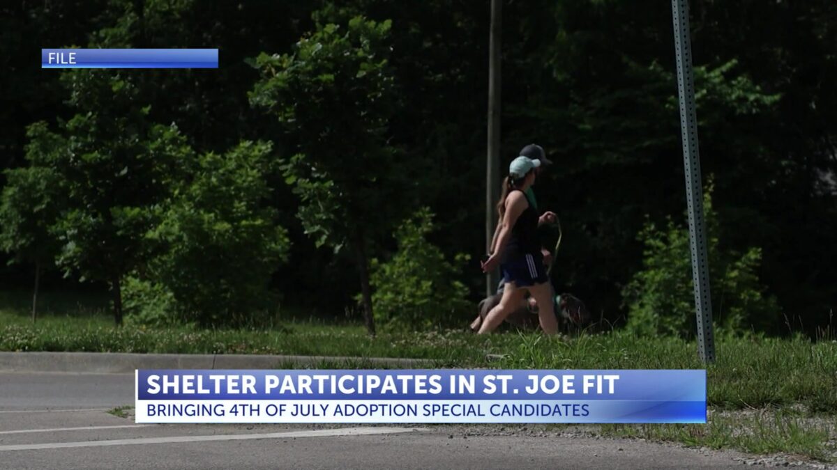 Community invited to meet adoptable dogs during St. Joe FIT walk