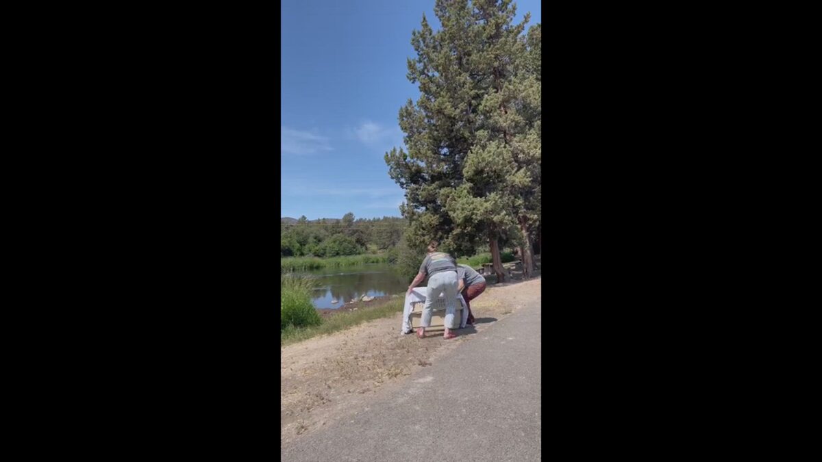 NEW VIDEO: Bald Eagle rescued and rehabilitated after ingesting lead