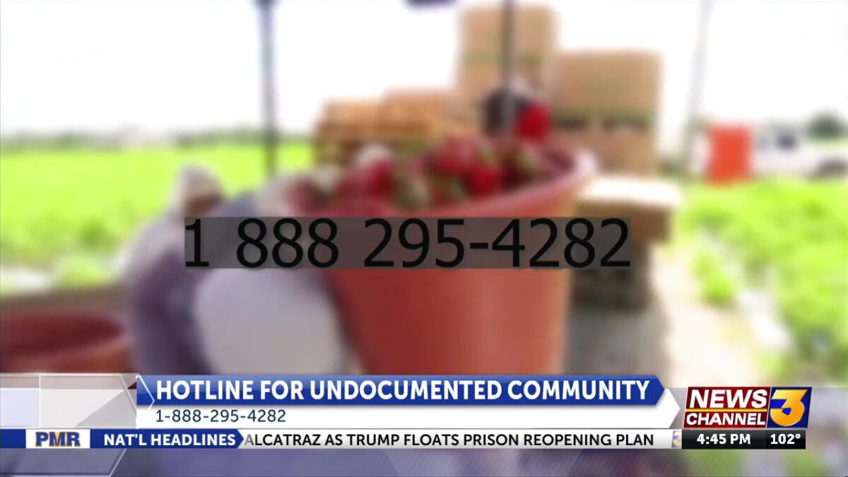 Toll-free hotline launches in Coachella Valley to support migrant communities